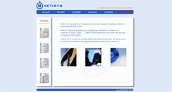 Desktop Screenshot of netisys.com