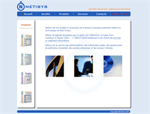 Tablet Screenshot of netisys.com